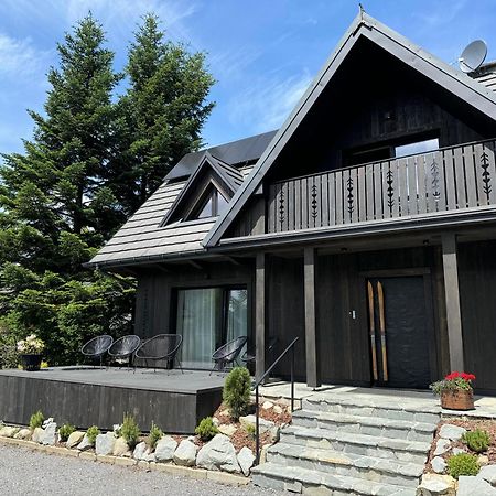 Chalet V11 By Villa 11 Folk & Design Закопане Екстер'єр фото